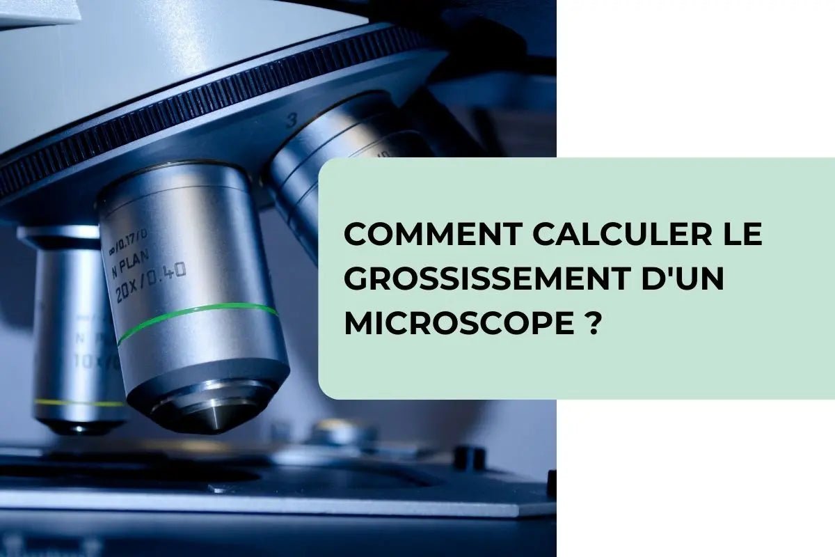 Comment calculer le grossissement d'un microscope ? - BBChoupette