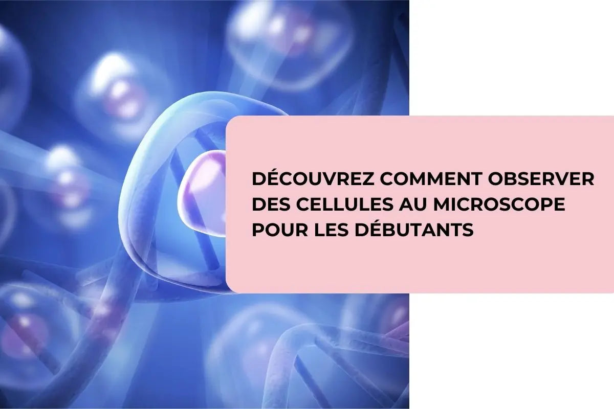Découvrez-comment-observer-des-cellules-au-microscope-pour-les-débutants BBChoupette