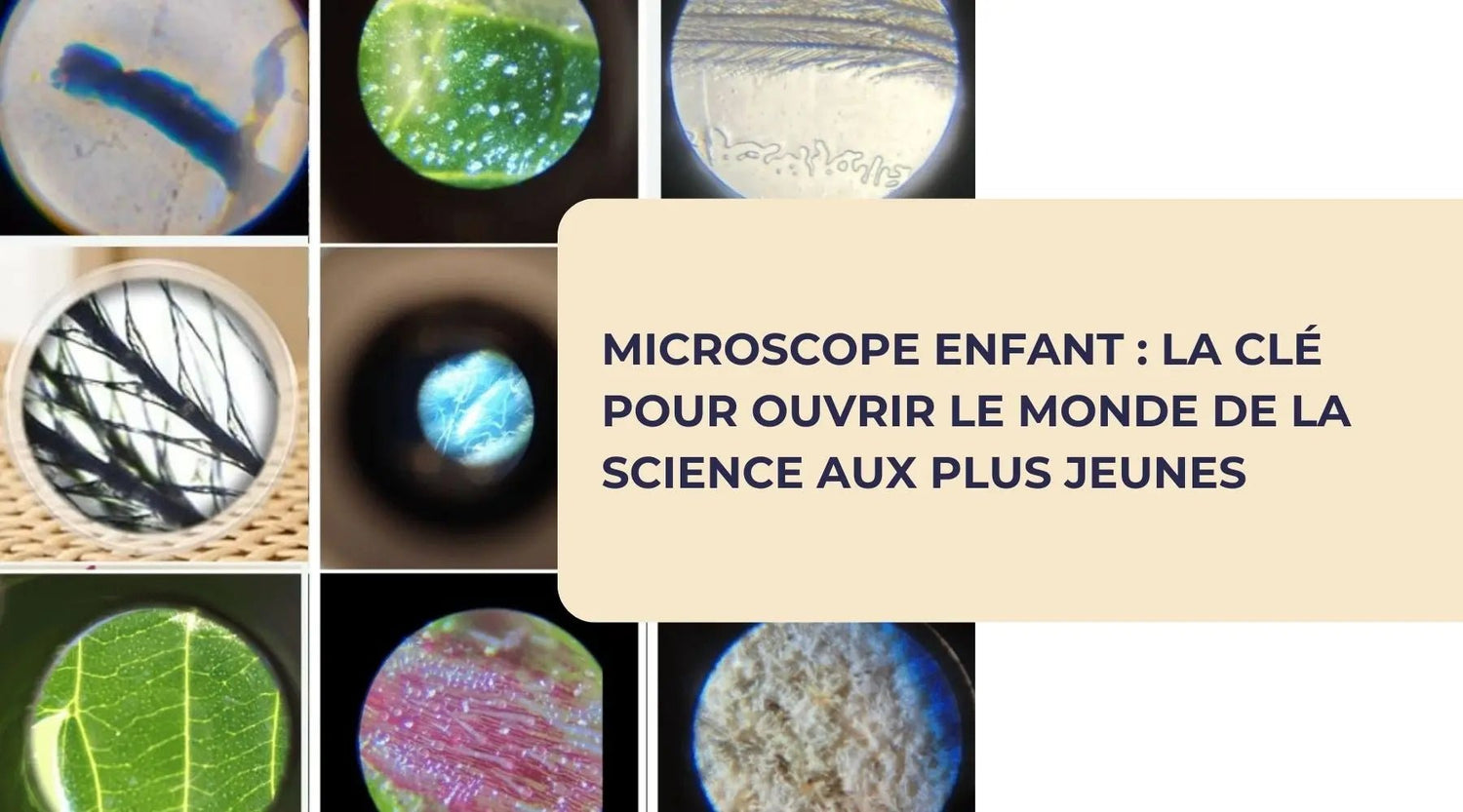 Microscope Enfant : La Clé pour Ouvrir le Monde de la Science aux Plus Jeunes - BBChoupette