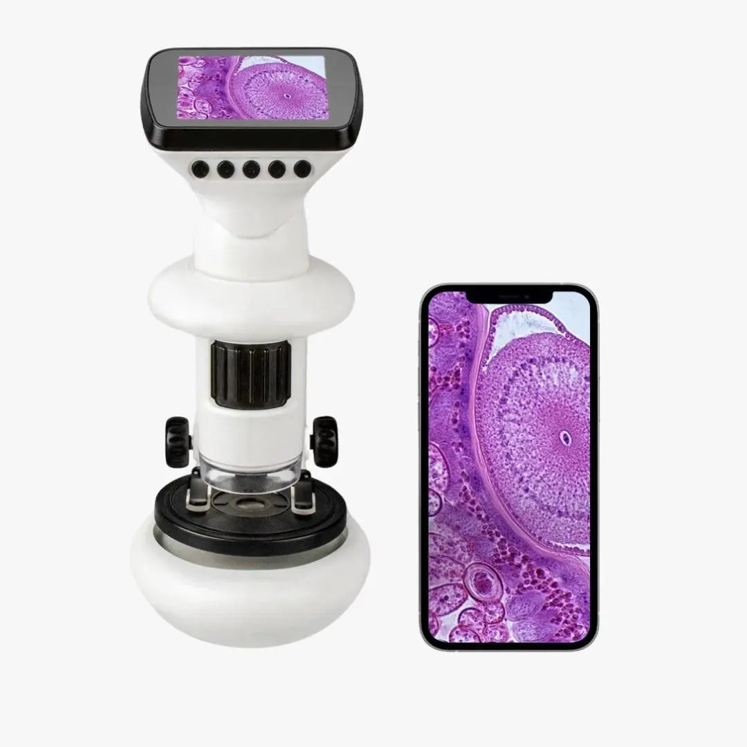 Microscope électronique avec écran HD & WiFi - ScientiLink™