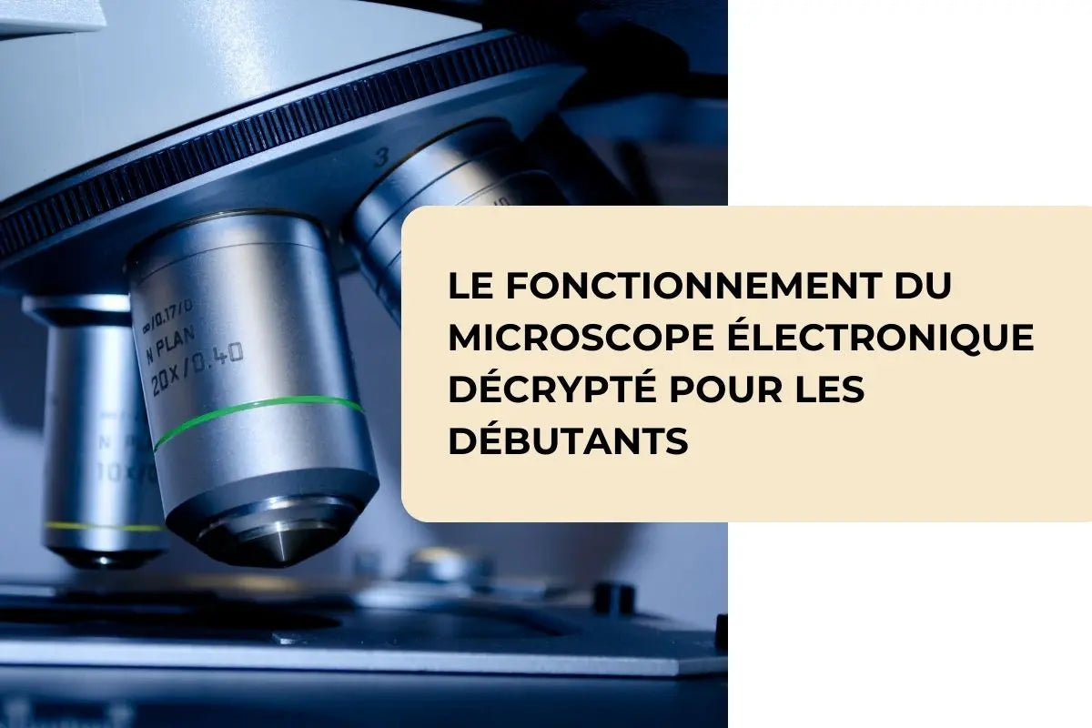 Comprendre le fonctionnement d’un microscope électronique simplement ...