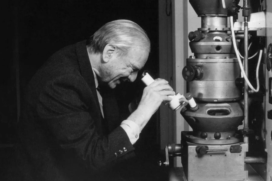 Microscope électronique : L’invention qui a révolutionné notre vision ...