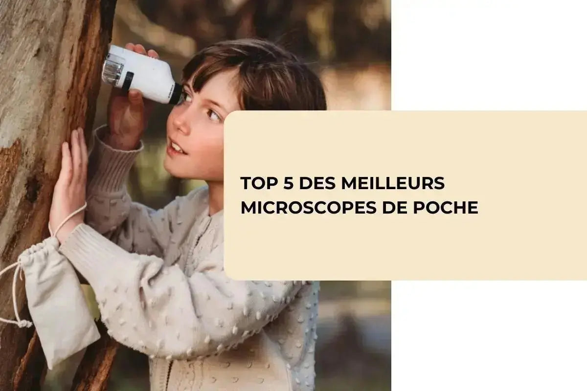 Top 5 des meilleurs microscopes de poche - BBChoupette