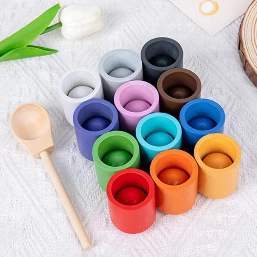 jeu-educatif-montessori-color-match-sensoriel-couleur-bois