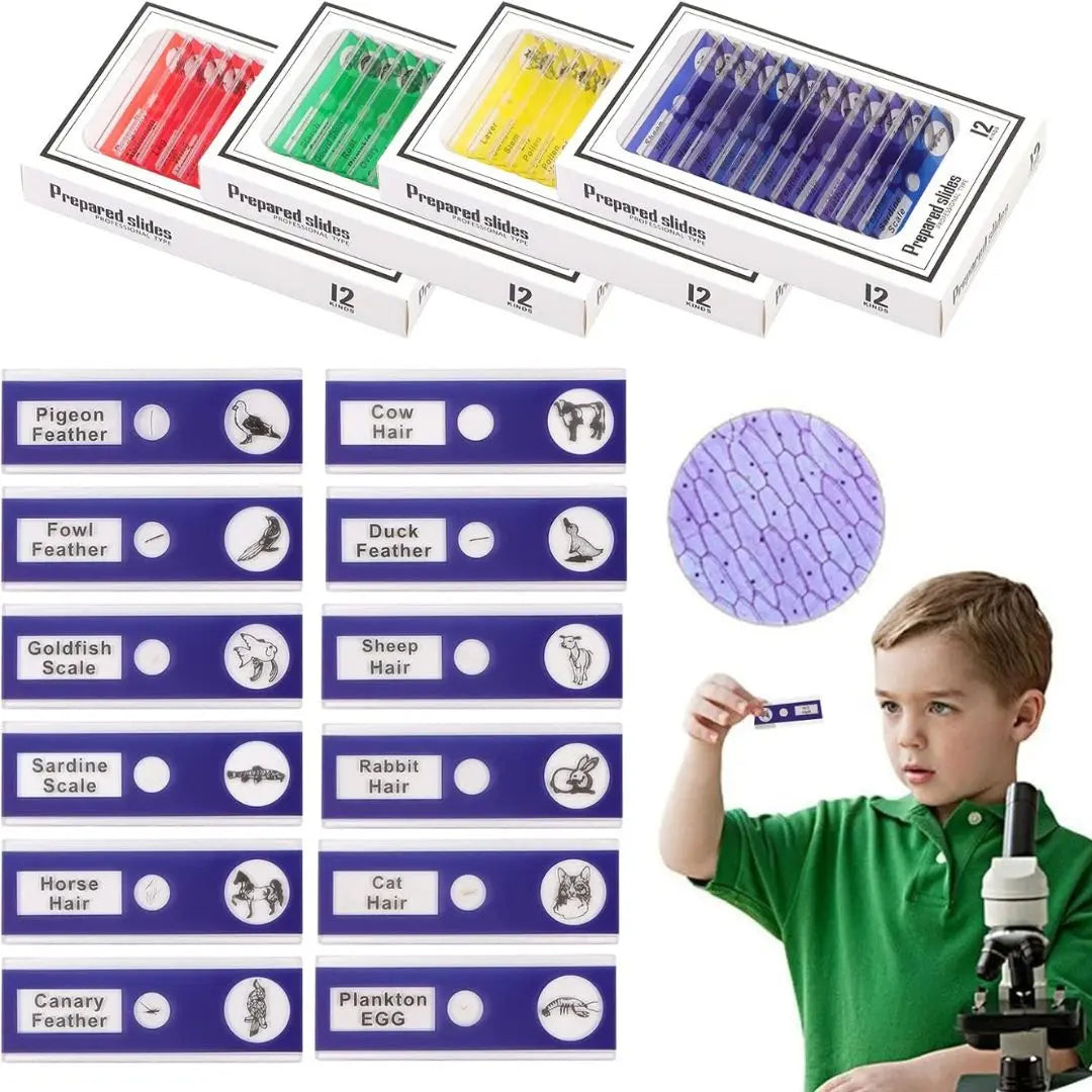 Lames pour microscope enfant - PrepScope™