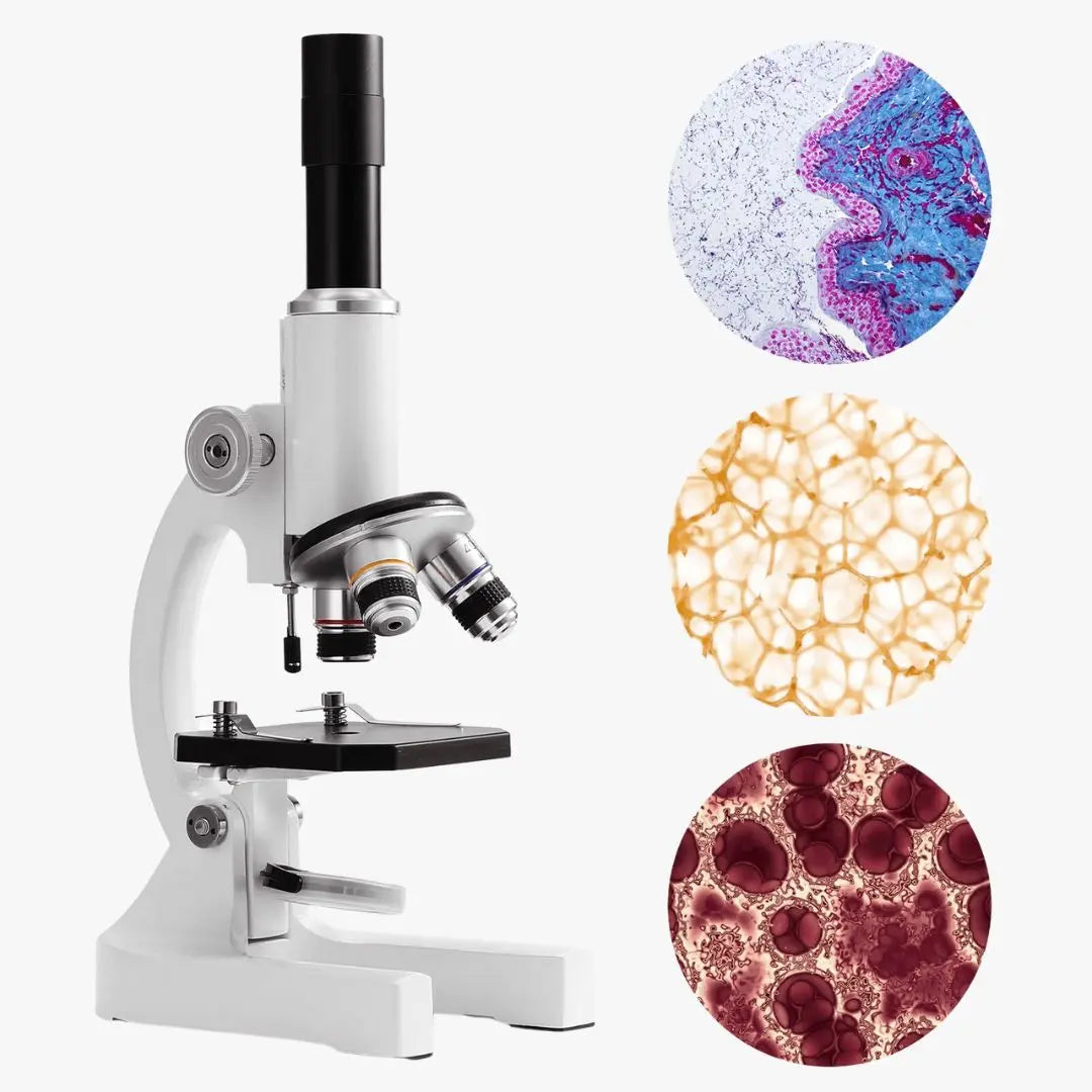 Microscope Enfant Avancé - ScientiPro™ 