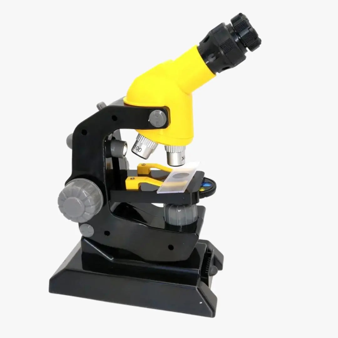 Microscope optique 1200X avec support téléphone – ScientiScope™ 